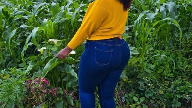 hinge free dating site